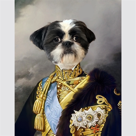 Personalized General Barkenhounder Masterpiece from Photo - myDaVinci